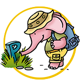 PL-Elfo-Icono-10-Explorador